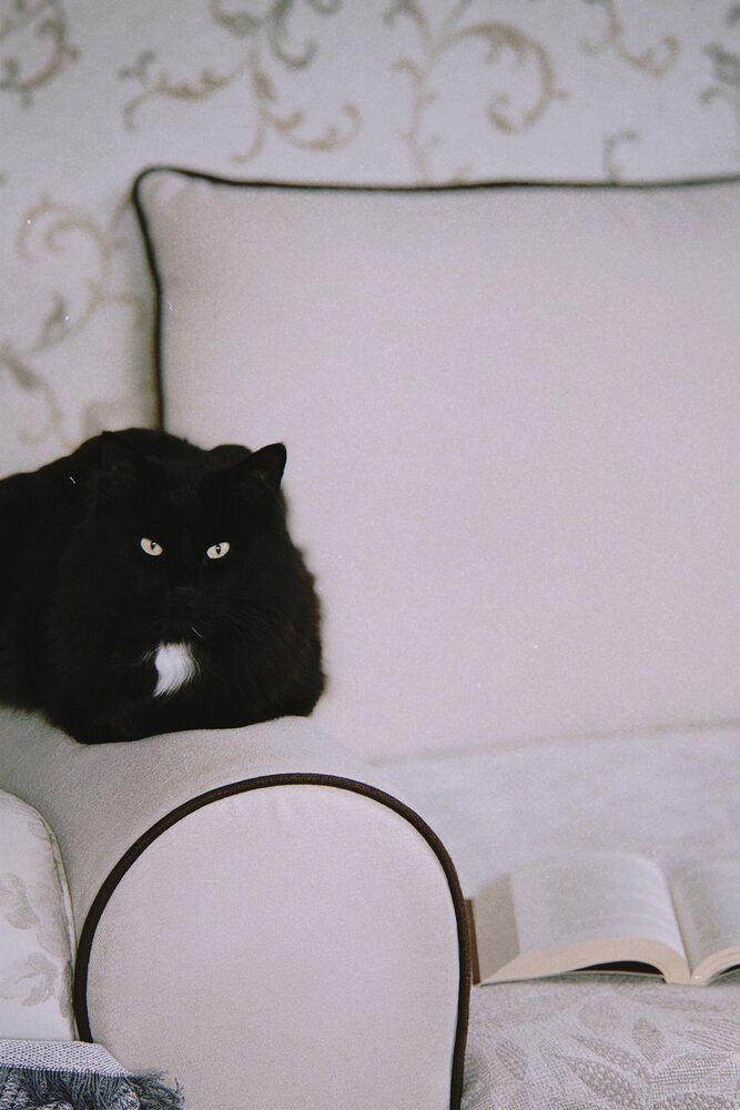 Photograph by Pavlova Maria