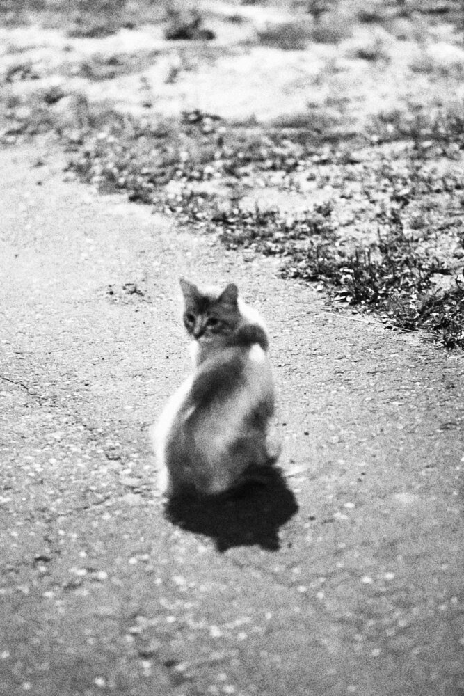 Photograph by Евгения Нестеренко