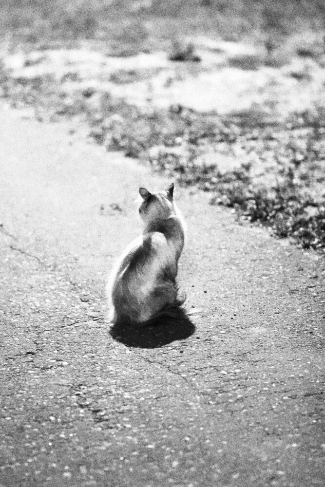Photograph by Евгения Нестеренко