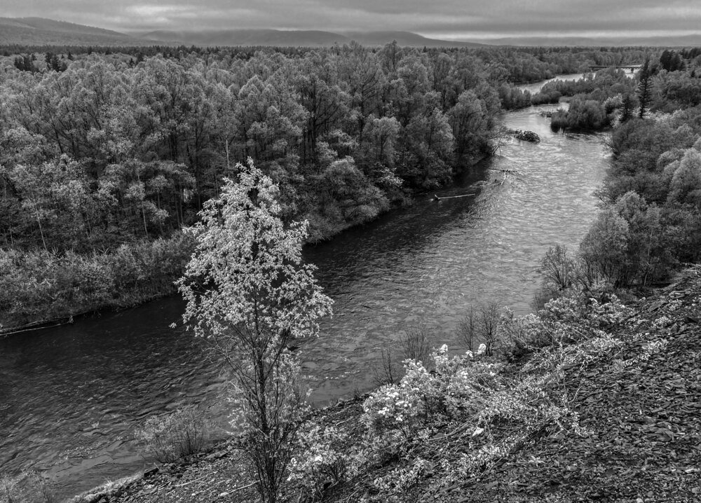 Фотография автора Савчук Сергей