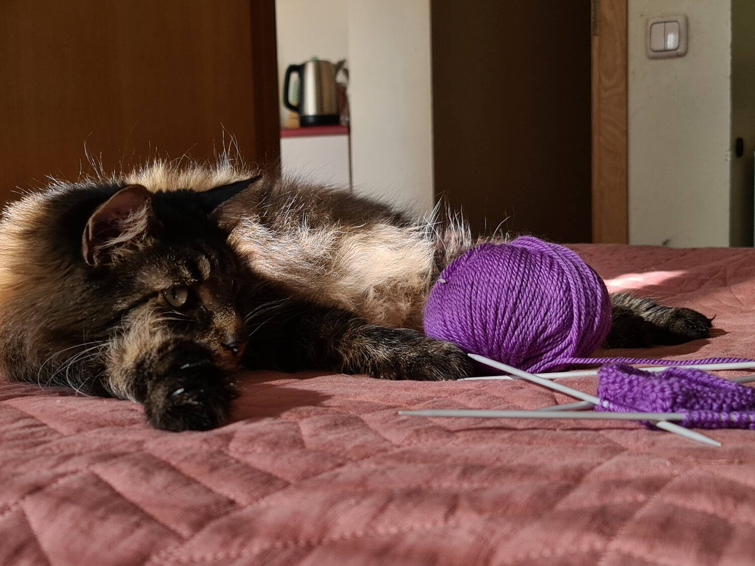 Photo #14051768