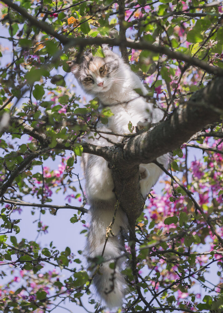 Photograph by Волкова Анна
