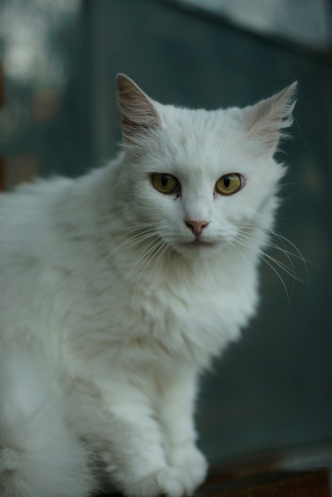 Photograph by Анастасия Брус