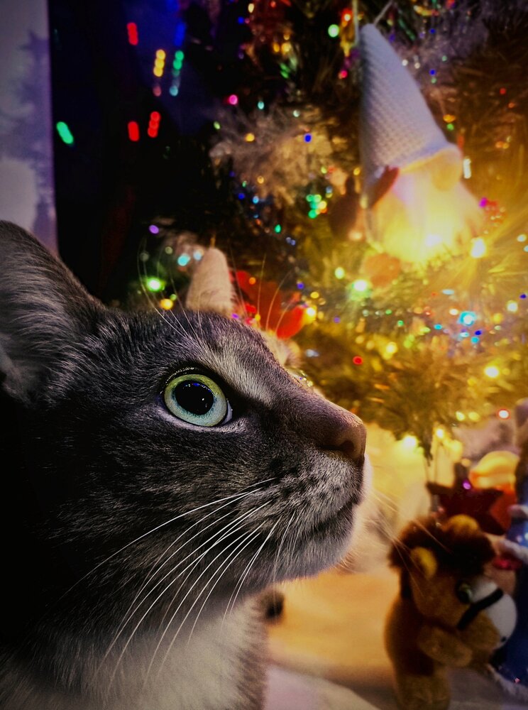 Photo #14051828