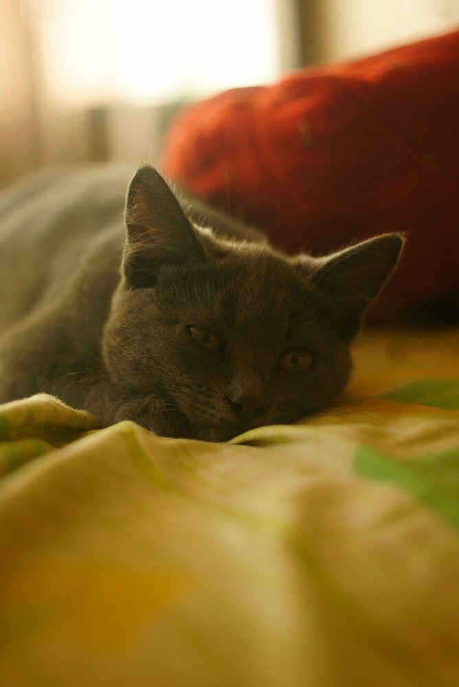 Photograph by Анастасия Брус