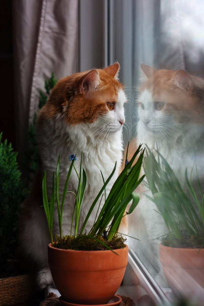 Photograph by Горбунова Яна