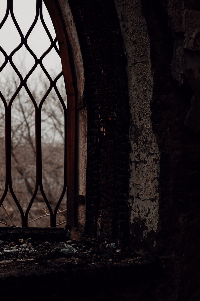 Photograph by Дарина Синица