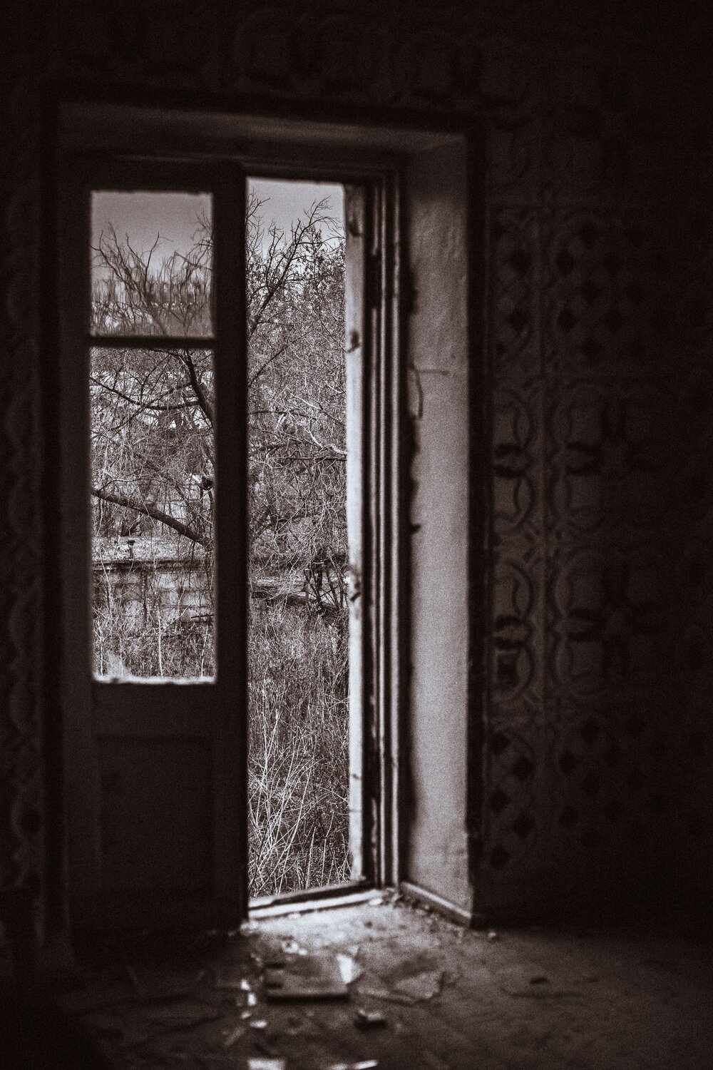 Photo #14051887