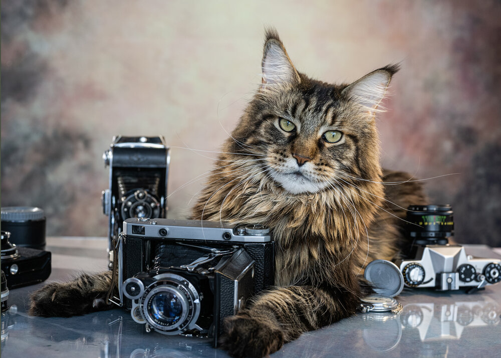 Photograph by NADEZHDA PELYMSKAIA