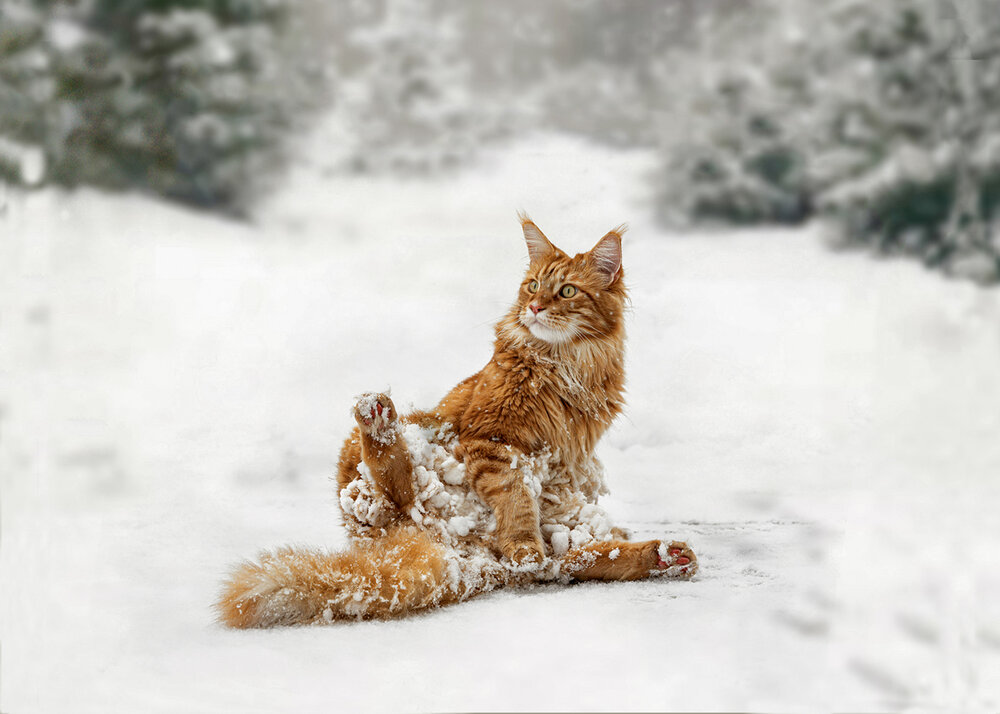 Photograph by NADEZHDA PELYMSKAIA