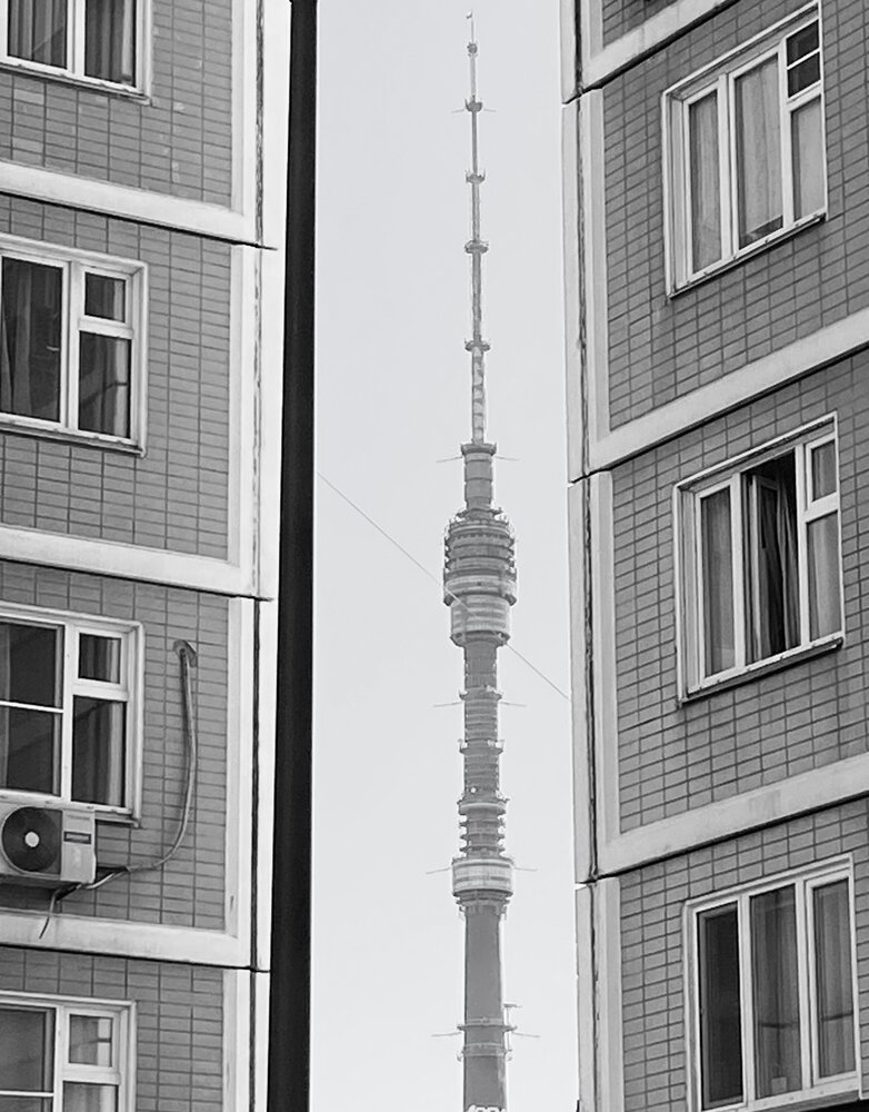 Photo #14051908