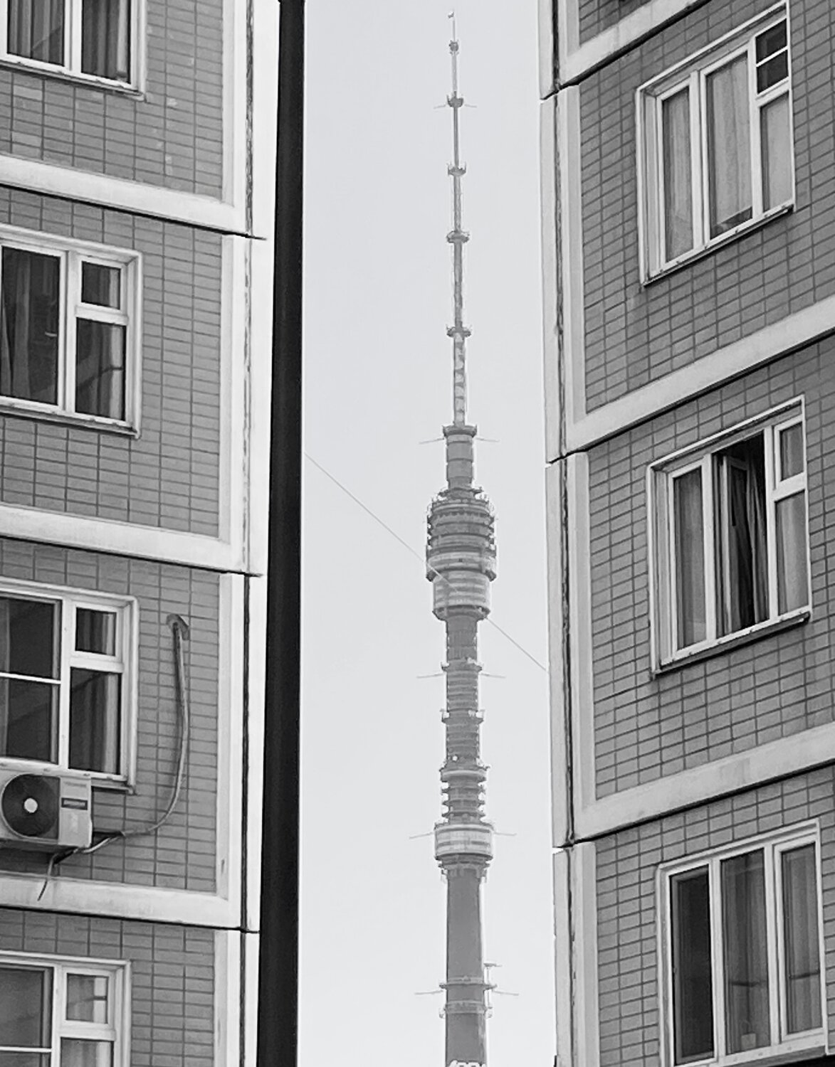 Photo #14051908