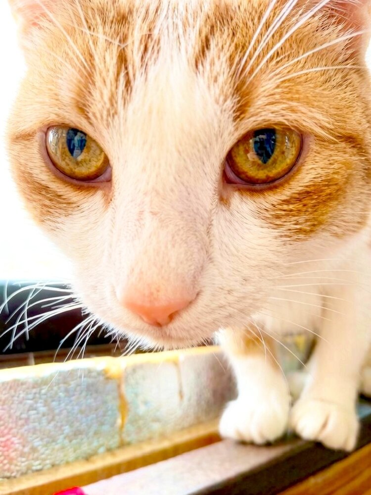 Photograph by Софья Копейкина