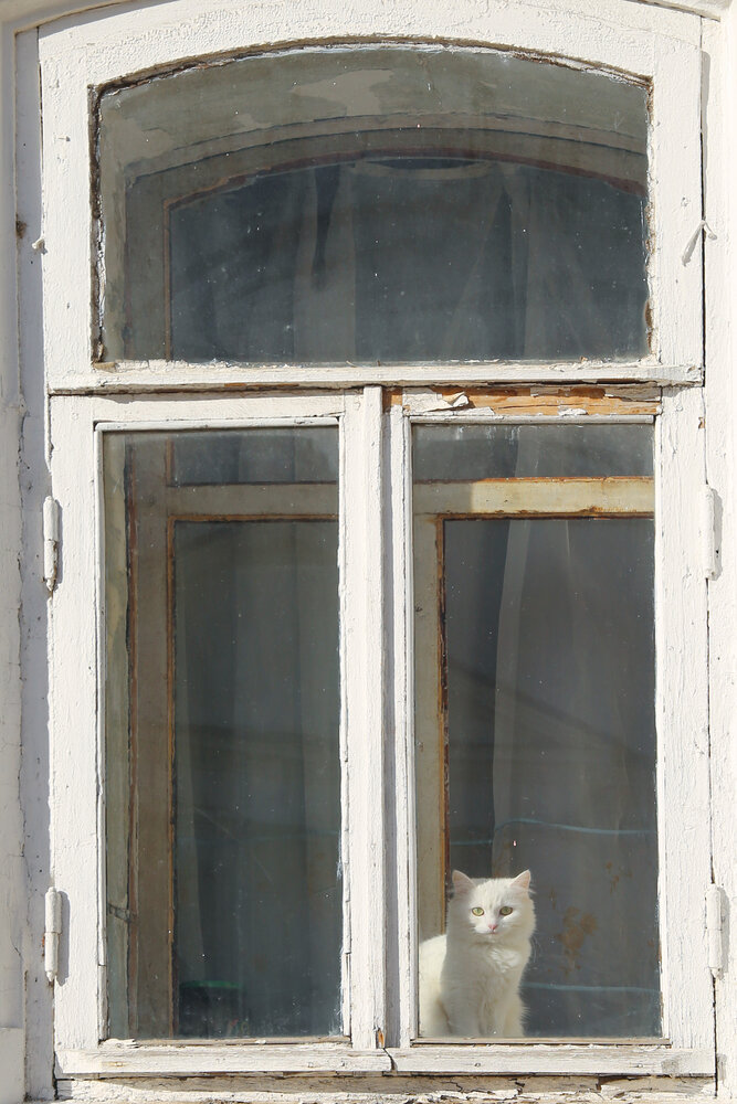 Photograph by Olga Bugro