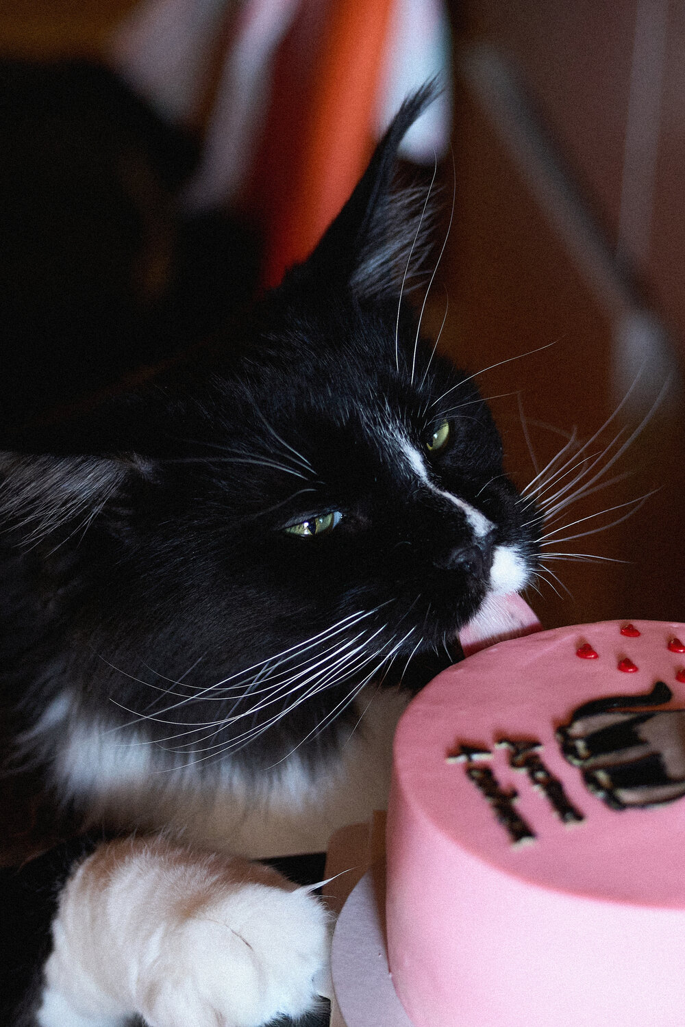 Photo #14052021