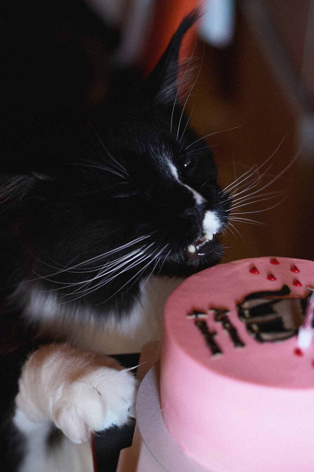 Photo #14052022