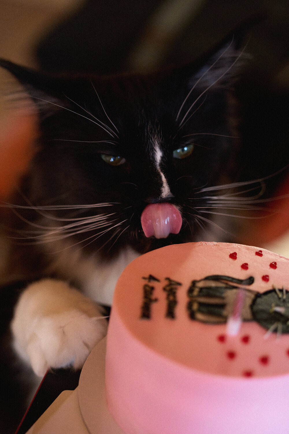 Photo #14052023
