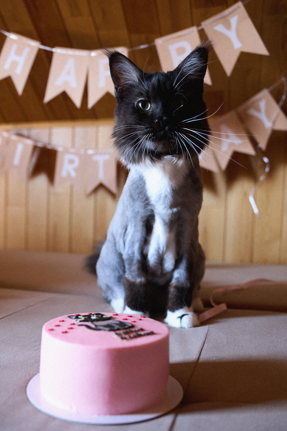 Photo #14052045