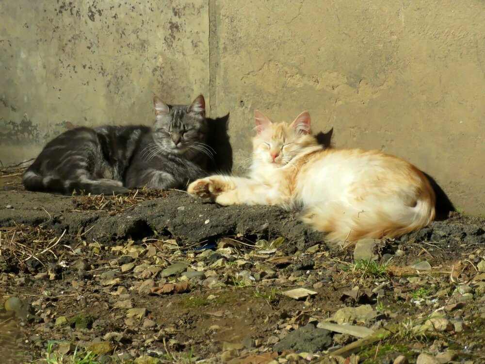 Photograph by Валерия Яскович