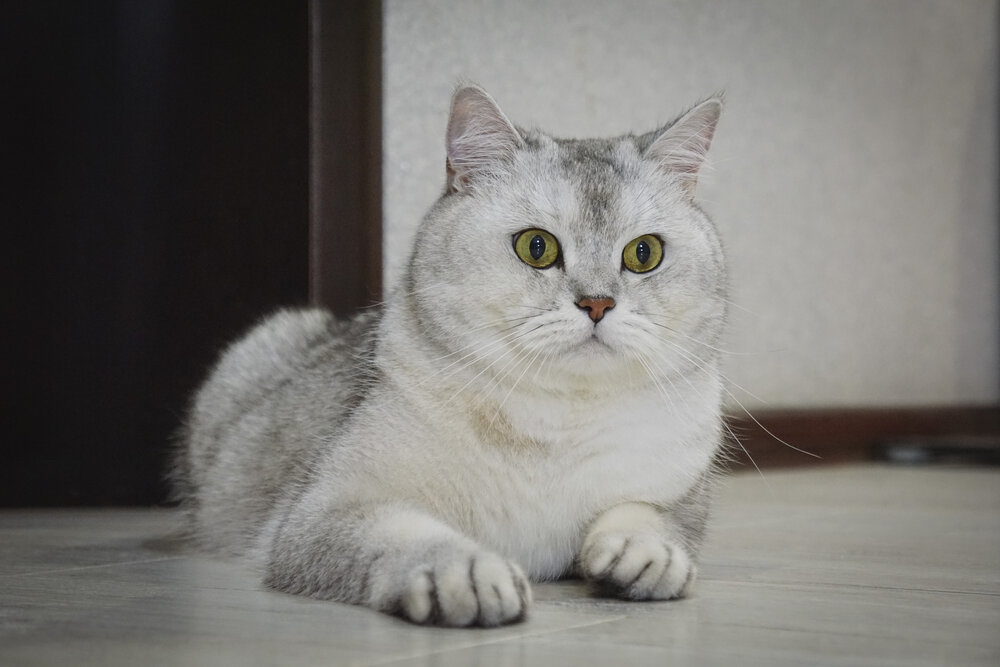 Photograph by Владимир Кульгускин