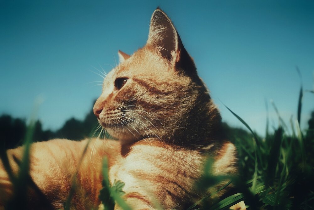 Photograph by Иван Чирков