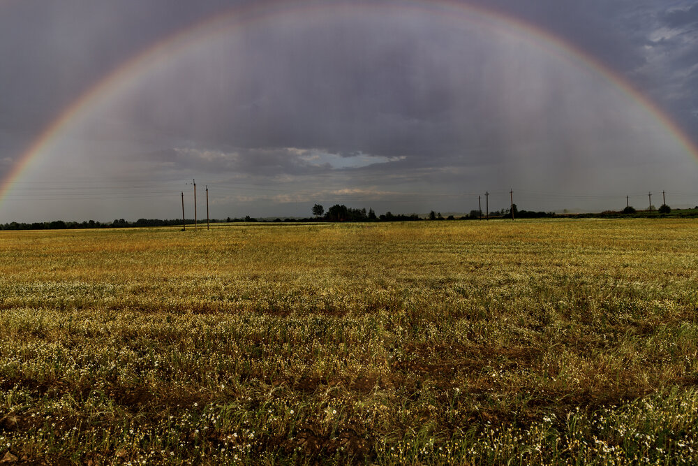 Photograph by Екатерина Ефимова