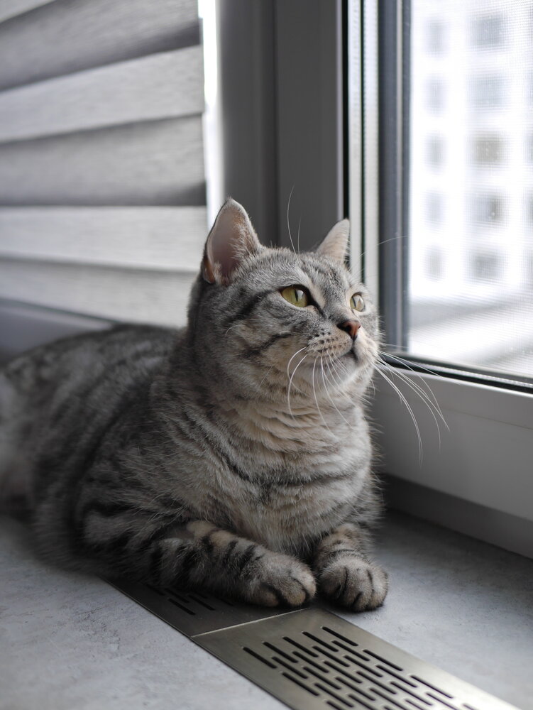 Photograph by Лариса Хвостова