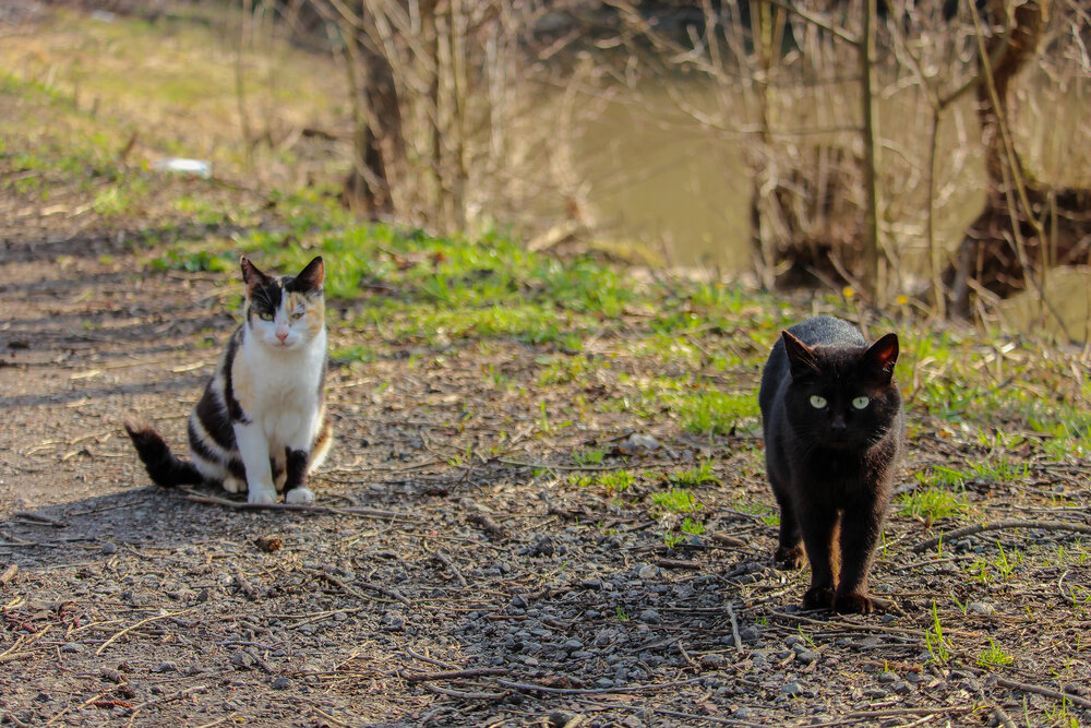 Photograph by Алёна Усова