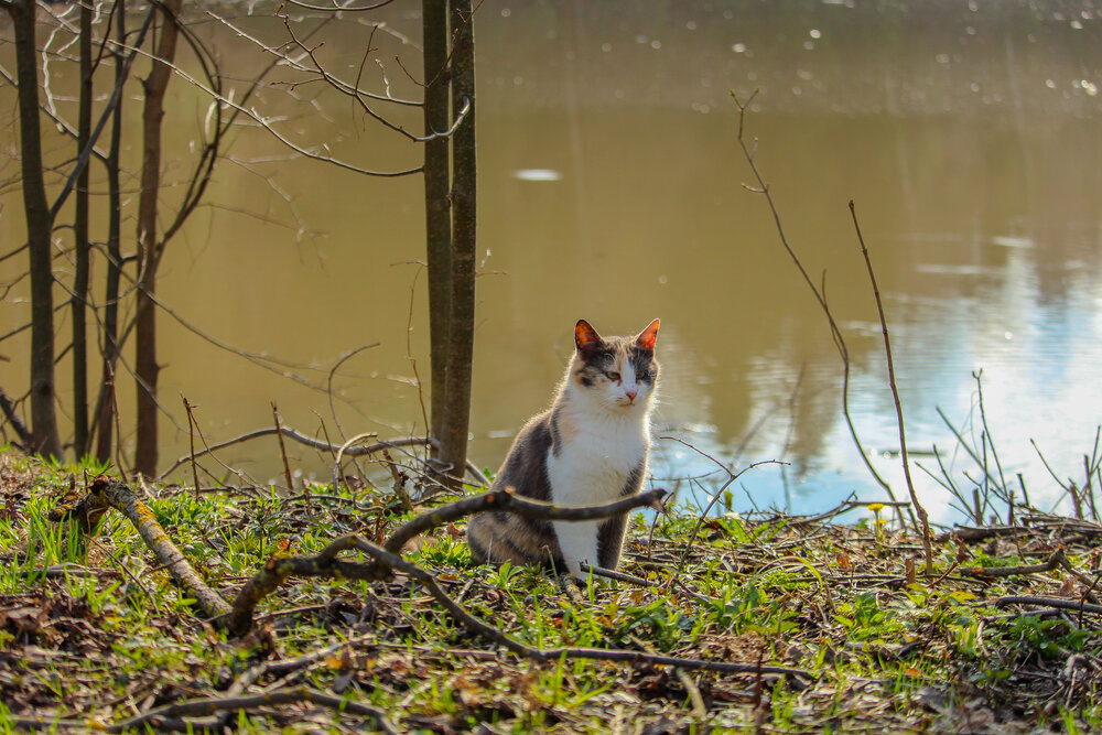 Photograph by Алёна Усова