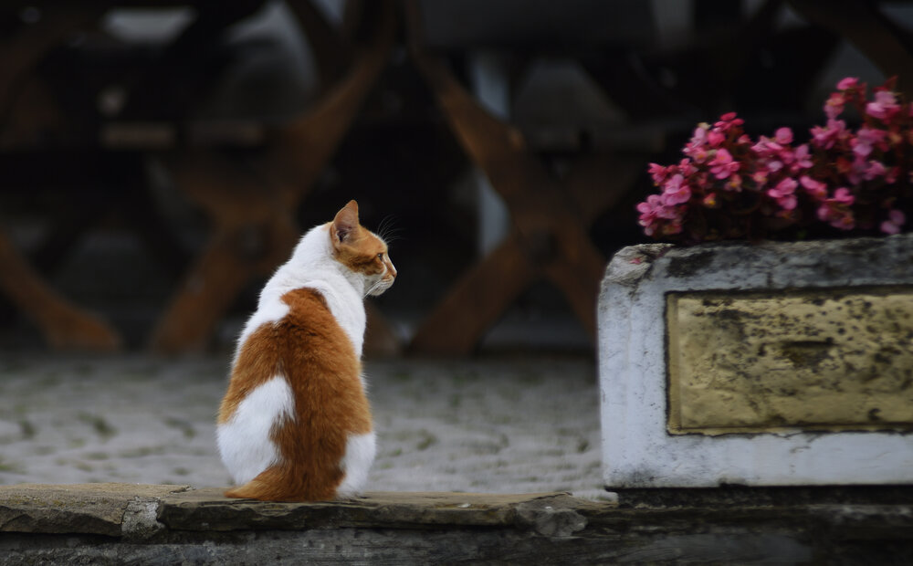 Photograph by Alexandra Ivanova