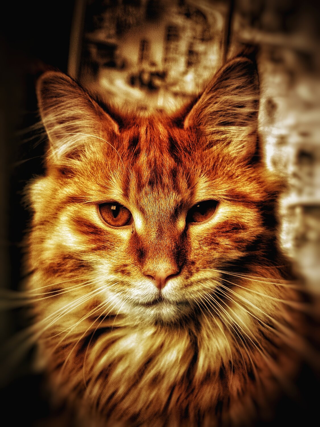Photo #14052366