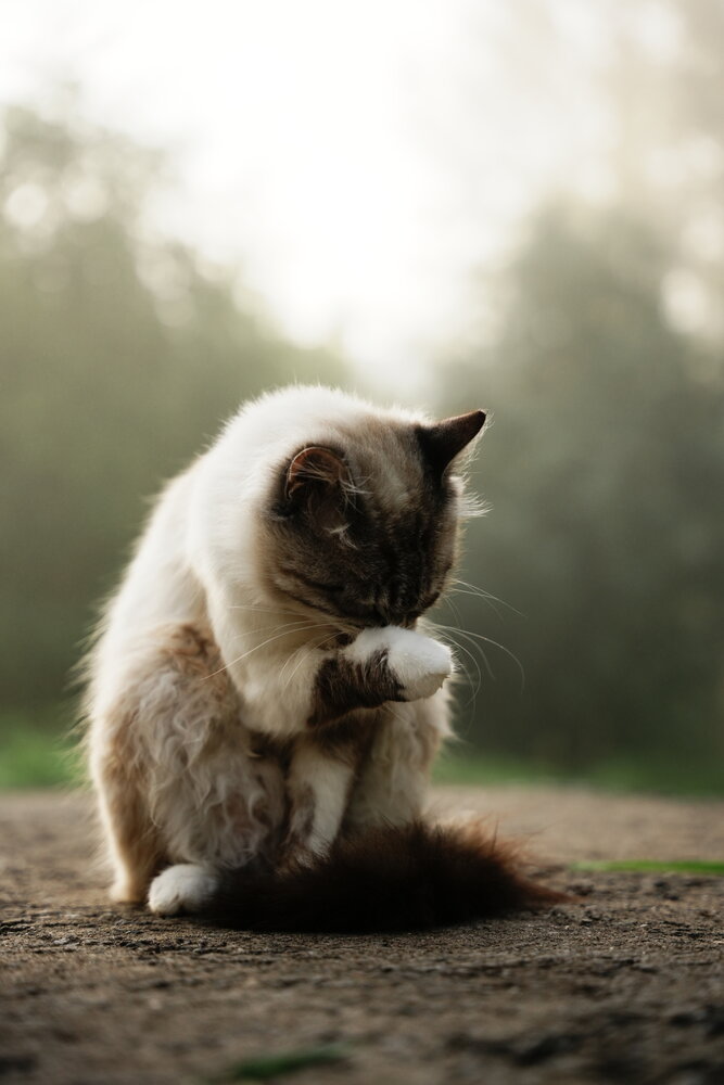 Photograph by Шеин андрей