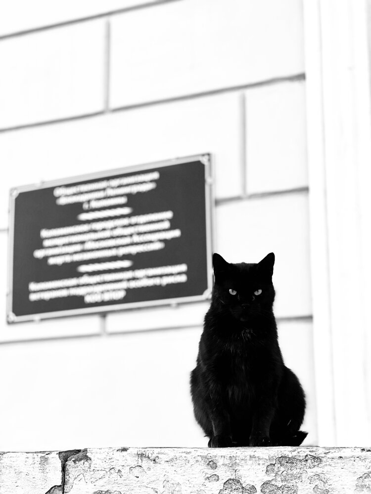 Photograph by Kholina Maria