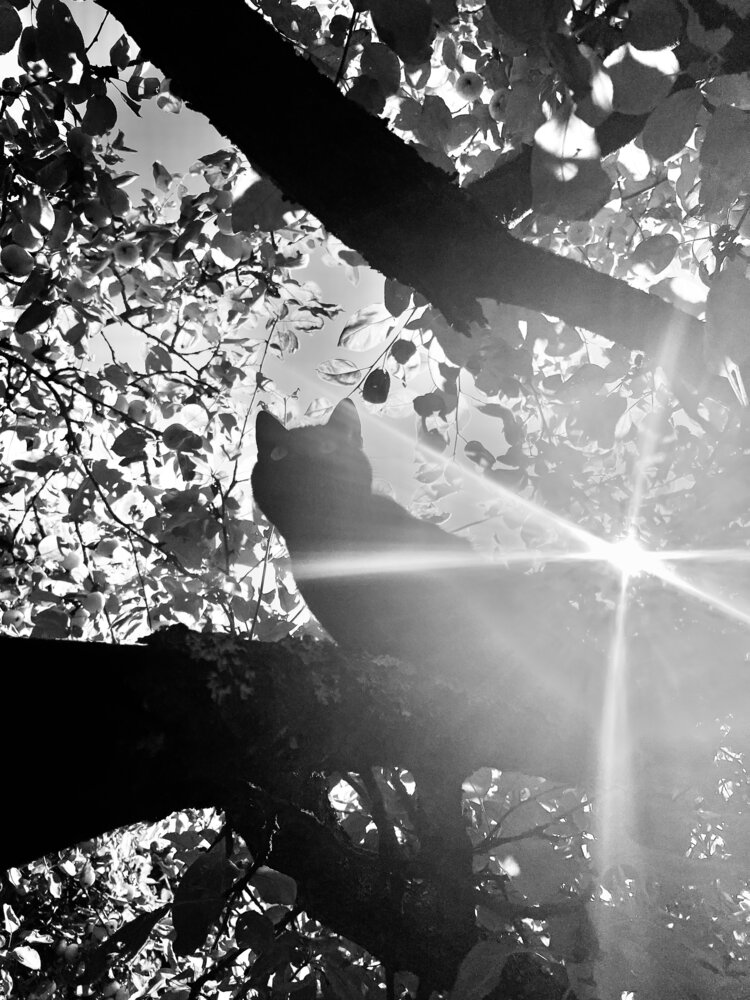 Photograph by Kholina Maria