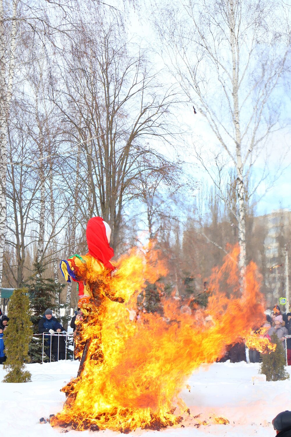 Photo #14052550