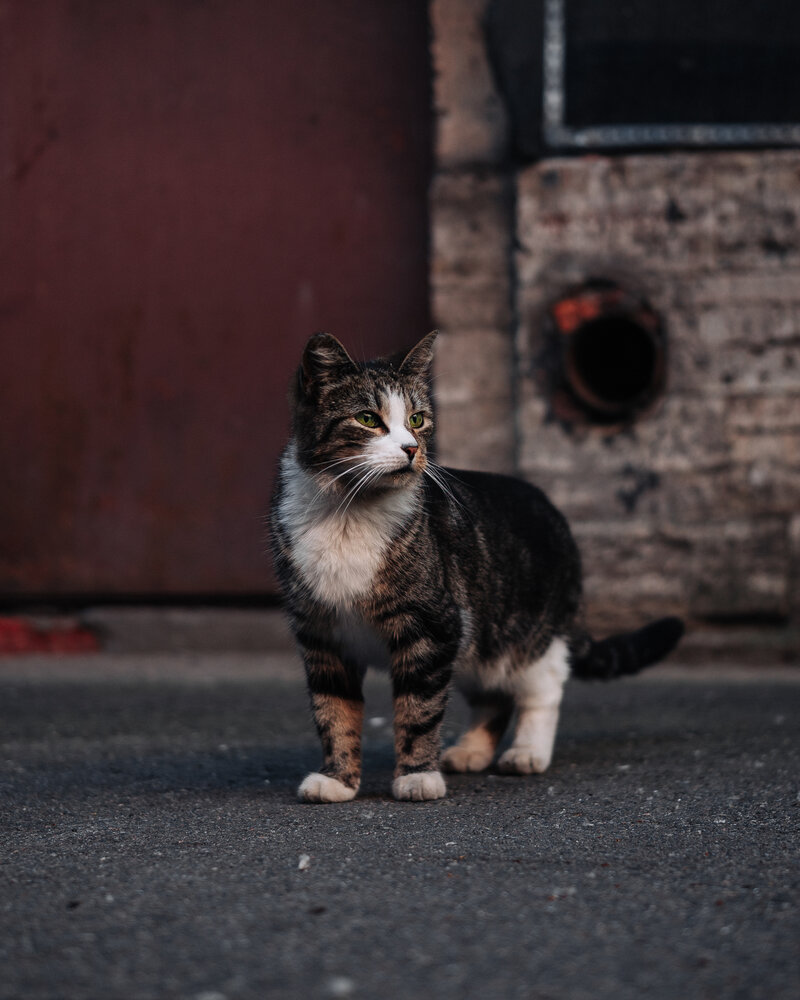 Photograph by Николай Роженцев