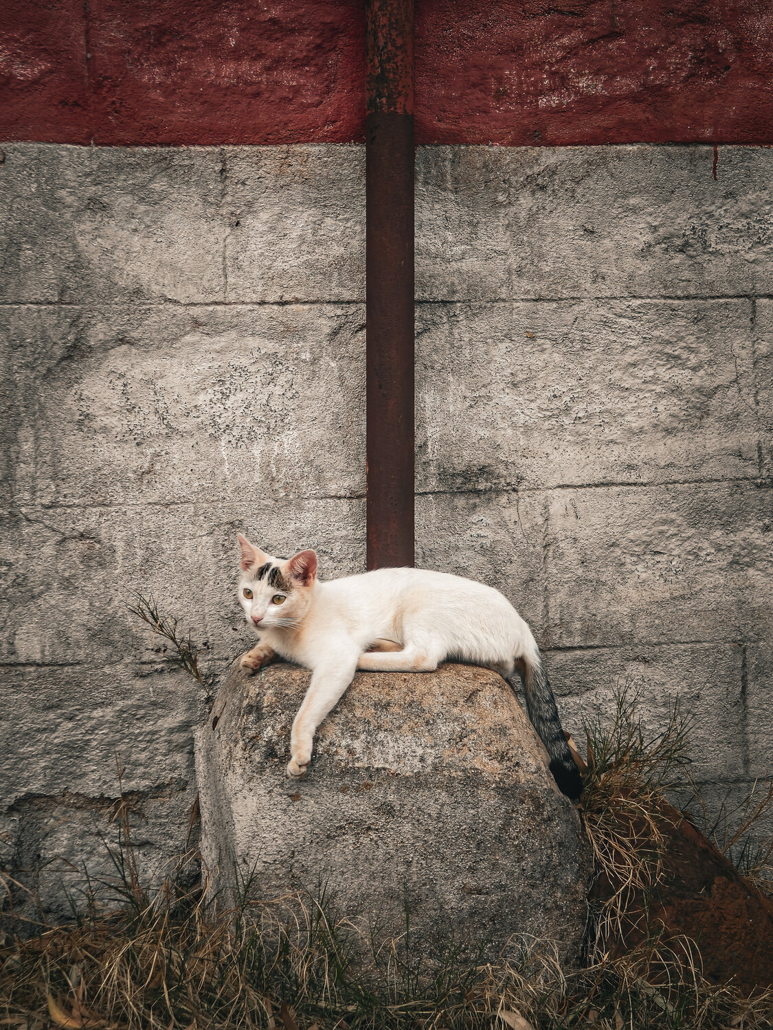 Photo #14052617