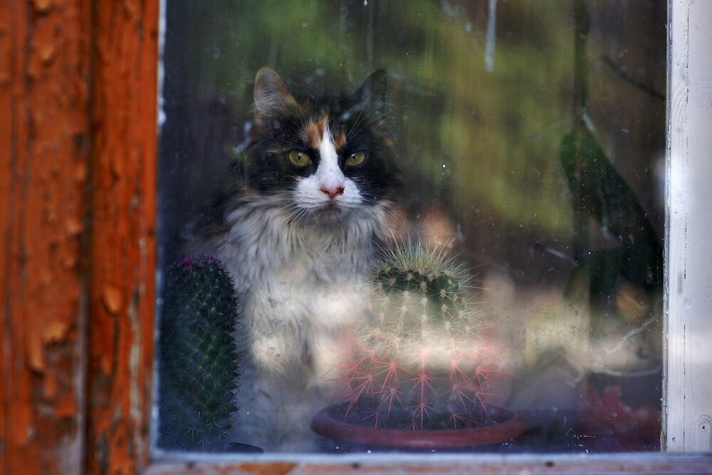 Photograph by Николай Птицын