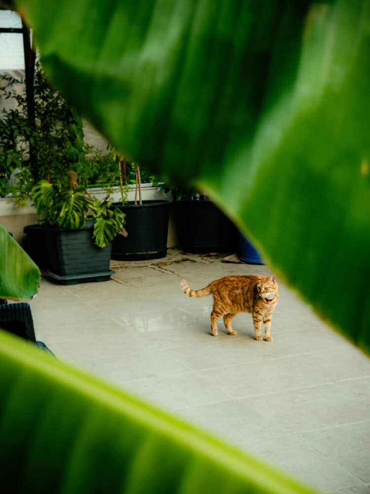 Photograph by Elizabeth Barkovskaya