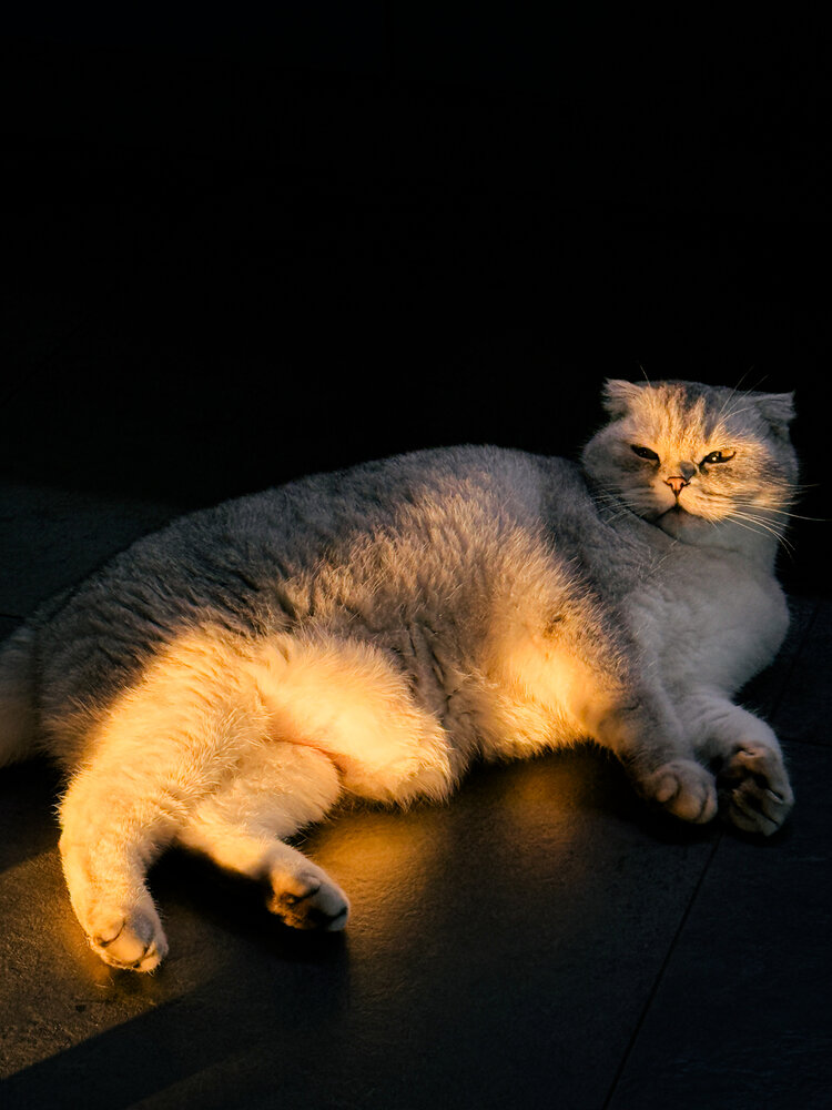 Photograph by Elizabeth Barkovskaya