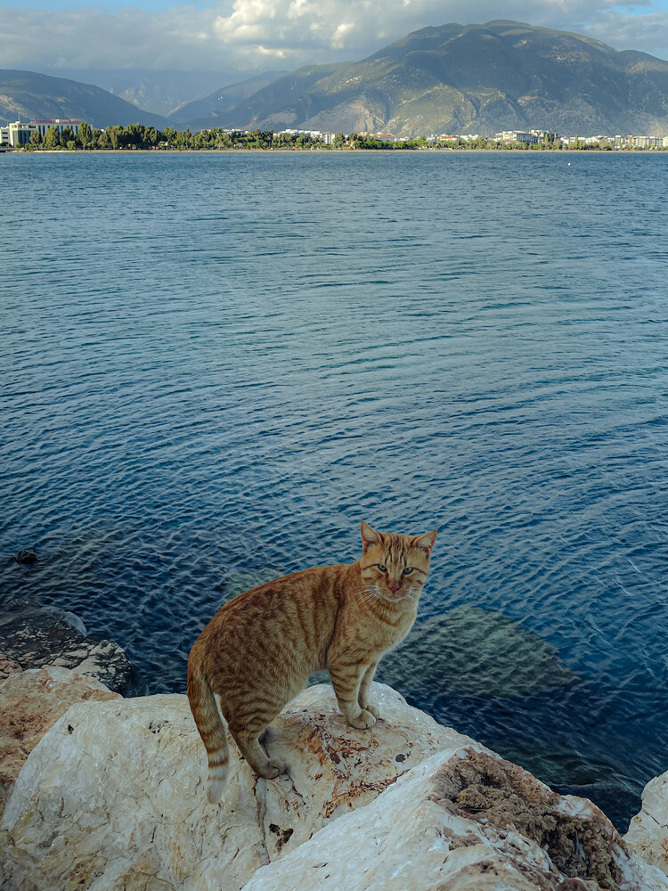 Photograph by Elizabeth Barkovskaya