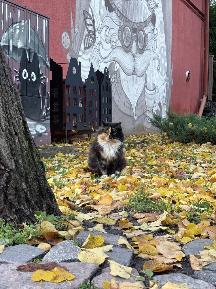 Photograph by Елена Новикова