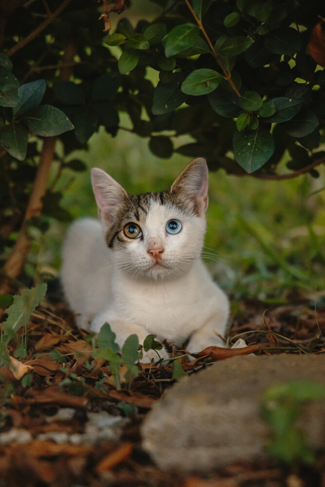 Photograph by Константин Семенюк