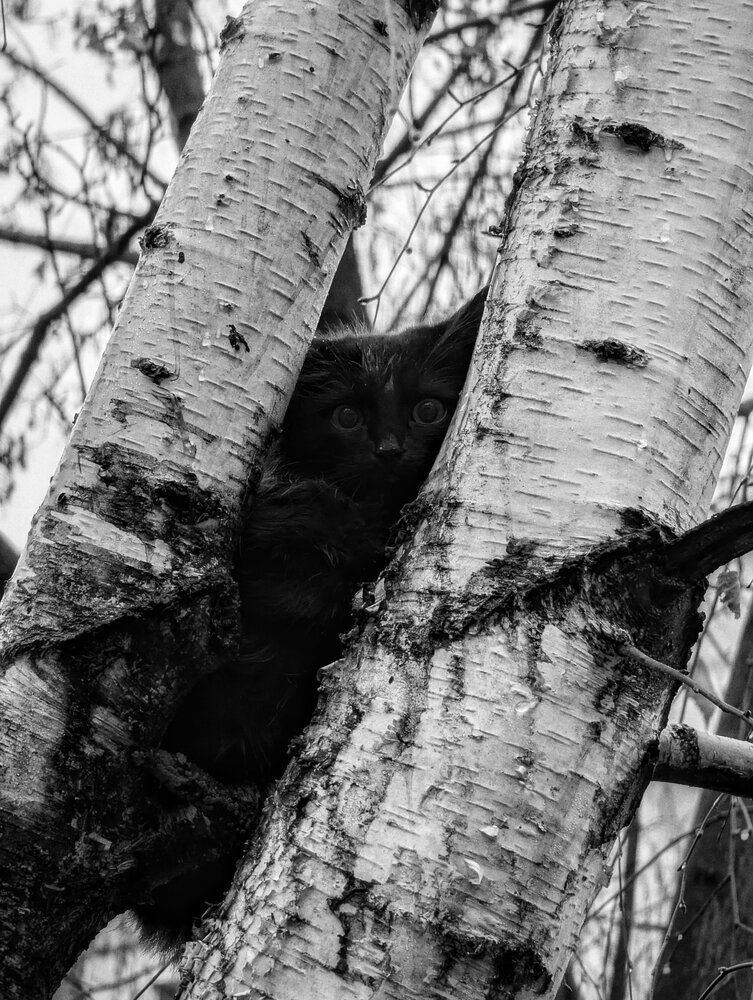 Photograph by Андрей Демин