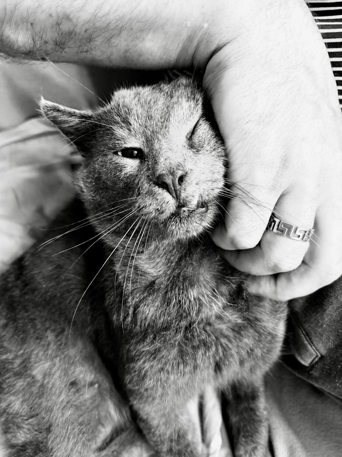 Photo #14052886