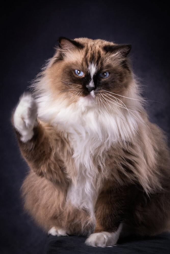 Photograph by Наталья Якушонок