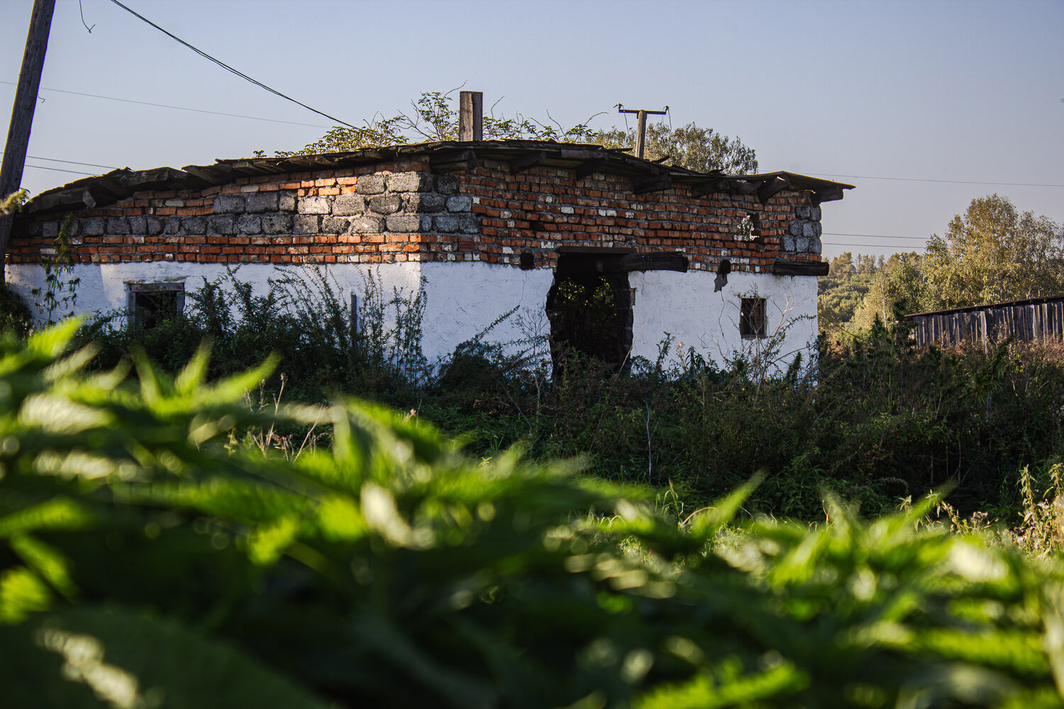 Photo #14052920