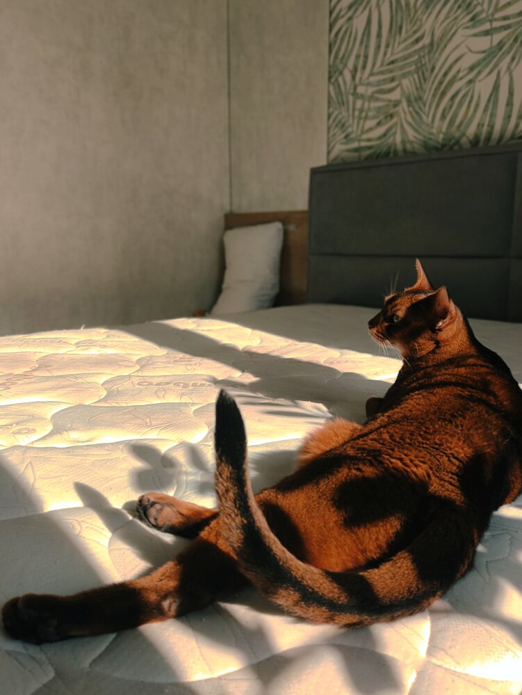 Photo #14052943