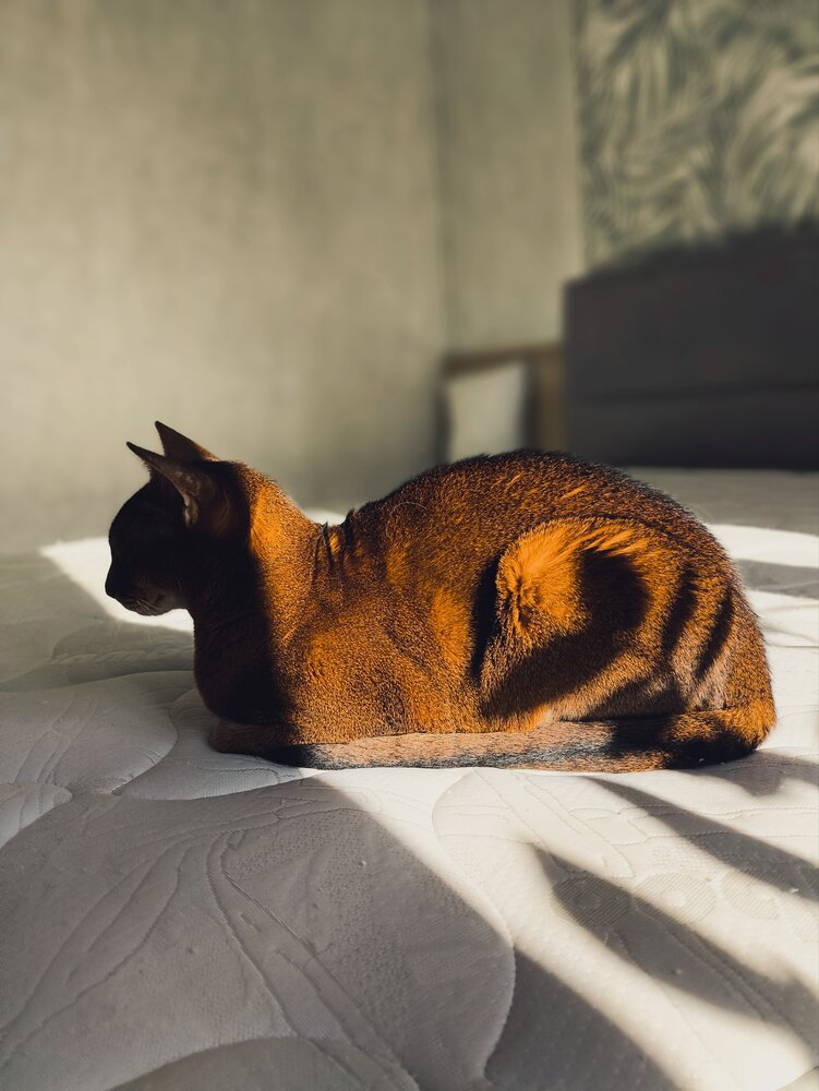 Photo #14052947