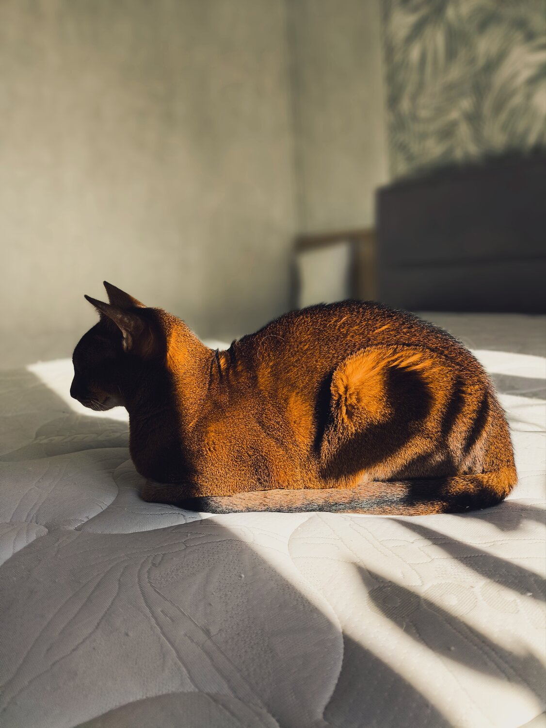 Photo #14052947